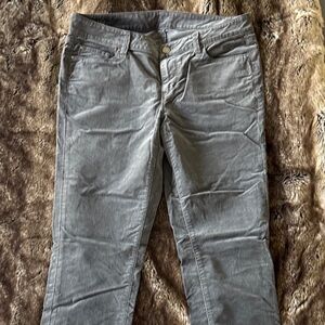 Ann Taylor Velvet Pants